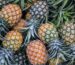 Organic blog 3